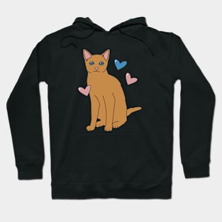 Orange Cat Hoodie